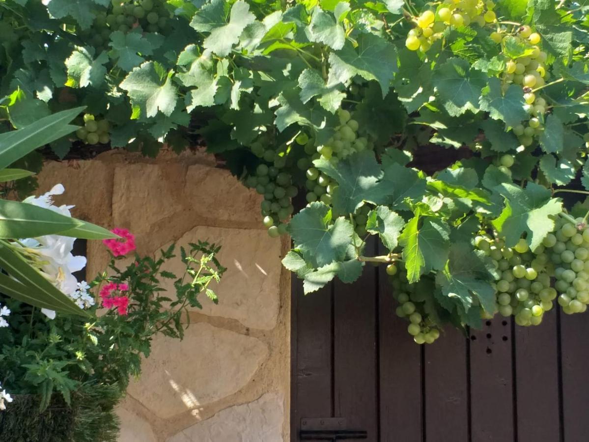 Lou Bagnou Mi-Clos Bagnols-sur-Ceze Exterior photo