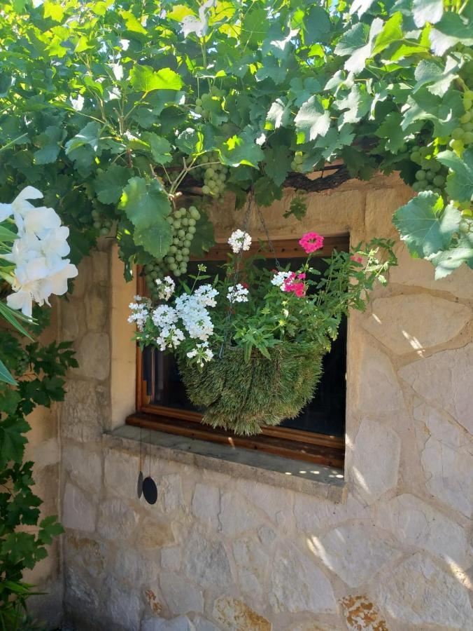 Lou Bagnou Mi-Clos Bagnols-sur-Ceze Exterior photo